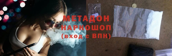 стаф Алексин