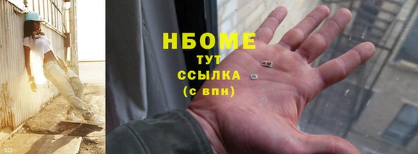 прущие грибы Аркадак