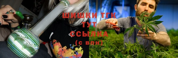 прущие грибы Аркадак